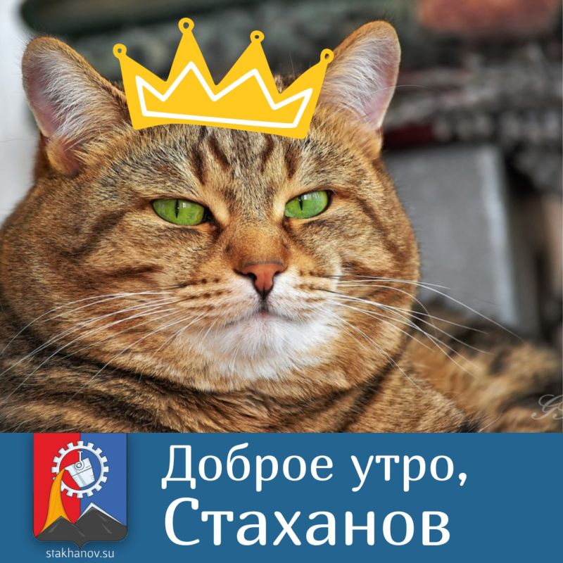 ������� - ���� �������� �����!
