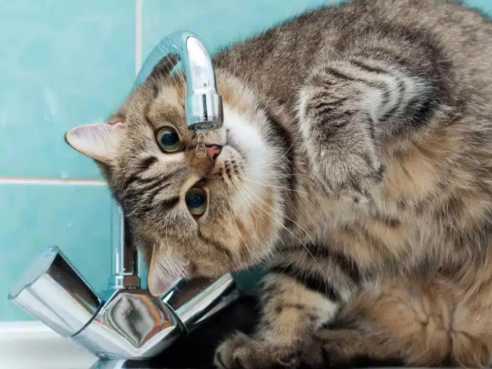 !  .    &quot;&quot;  ,   28       -  