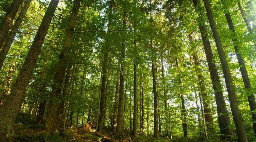 ��� ���������� ���������� ���������� ����, � ����� �������� ��������� � �������