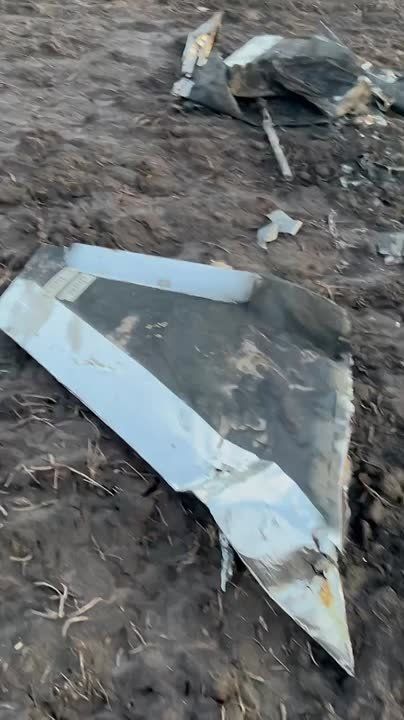  :   .     ,        :      ,        