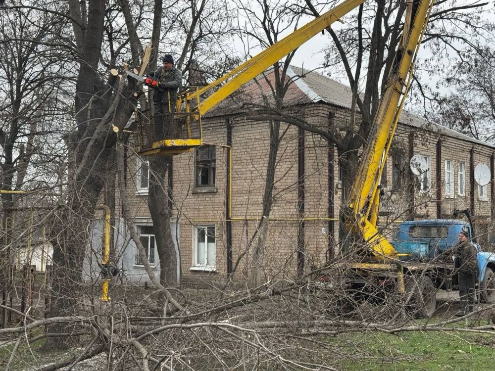 Сергей Колягин: Параллельно с удалением аварийных деревьев в парке имени Чихачева специалисты Муниципального унитарного предприятия «Комбинат коммунальных услуг города Первомайска» продолжают отрабатывать и заявки наших...