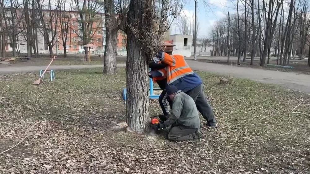 ������ �������: � ���� ���������������� ����������� �� ��������������� ����� ����� �������� ����������� ��� ��������� ������������ ����� ������ ����������� ��������� �������� ��������� ��������, �������������� �� ��������...