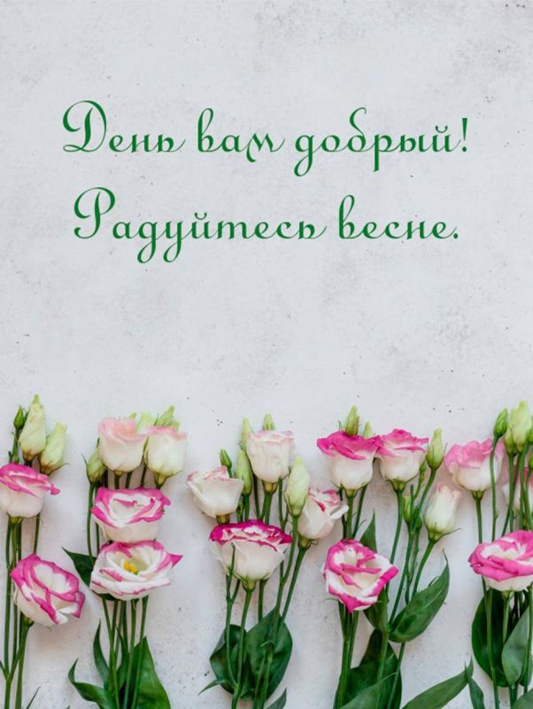 ������ ����