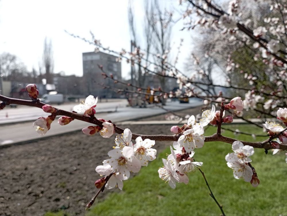 ��� �������: � ��� ������� ����� ������ �����