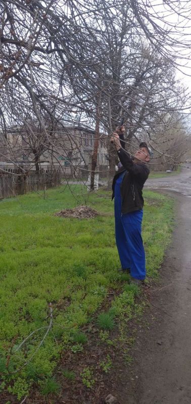 �������� ��������: ������������� � ��������. ������������ ����������� ���������� ������ �� ����������� ������� � ������� � ������