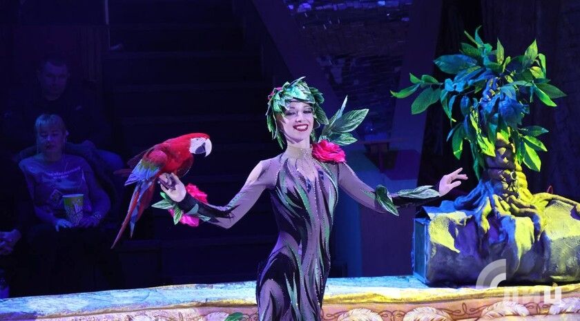 «Росгосцирк» направил 206 млн рублей на развитие исторических регионов