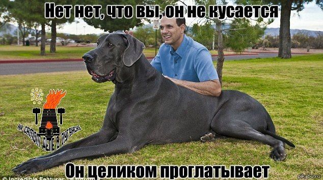 ���������� � �������� �������� ���������� ������� �����