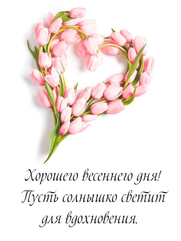 ������ ����