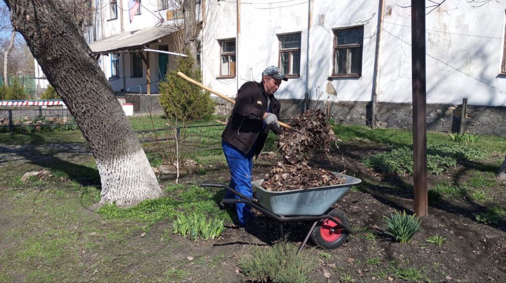 �������� ��������: ������������� � ��������. ������������ ����������� �������� ������ �� ����������� ������� � ������� � ��������� ������