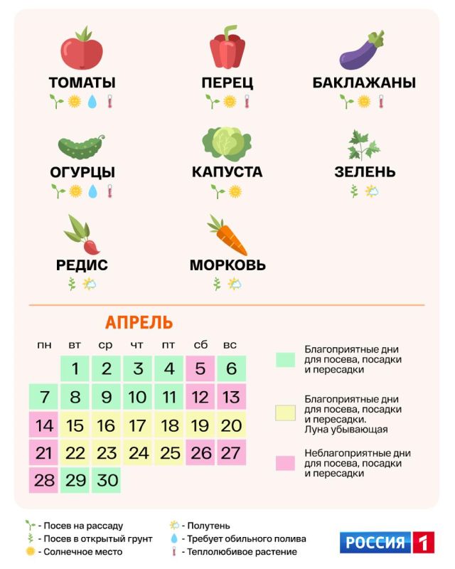 ������� � ����������, ��������! ������������ ��� ��������� ������� �� 2025 ���