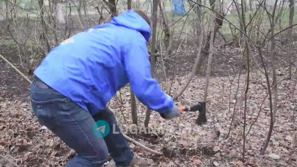В Первомайске прошел субботник в рамках республиканской акции «Чистая Республика-2025», объявленной Главой ЛНР Леонидом Пасечником