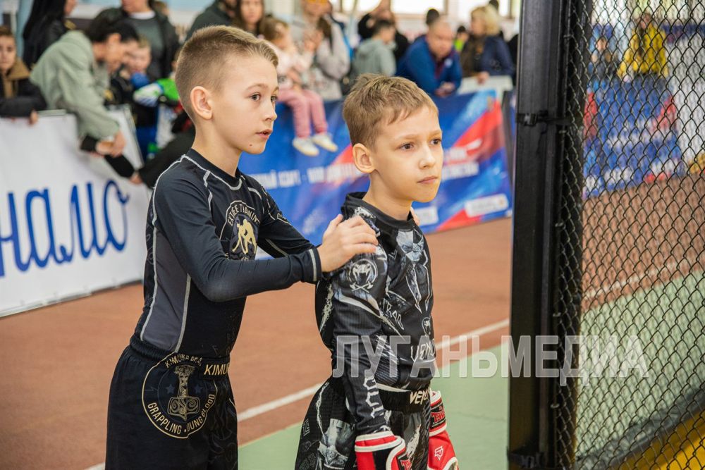 В Луганске проходят чемпионат и первенство ЛНР по ММА