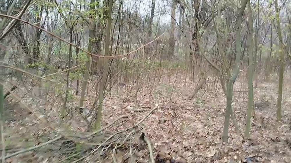 Сергей Колягин: Субботник завершён, сейчас опубликую пару видео в формате "было-стало" на нашем участке работы)