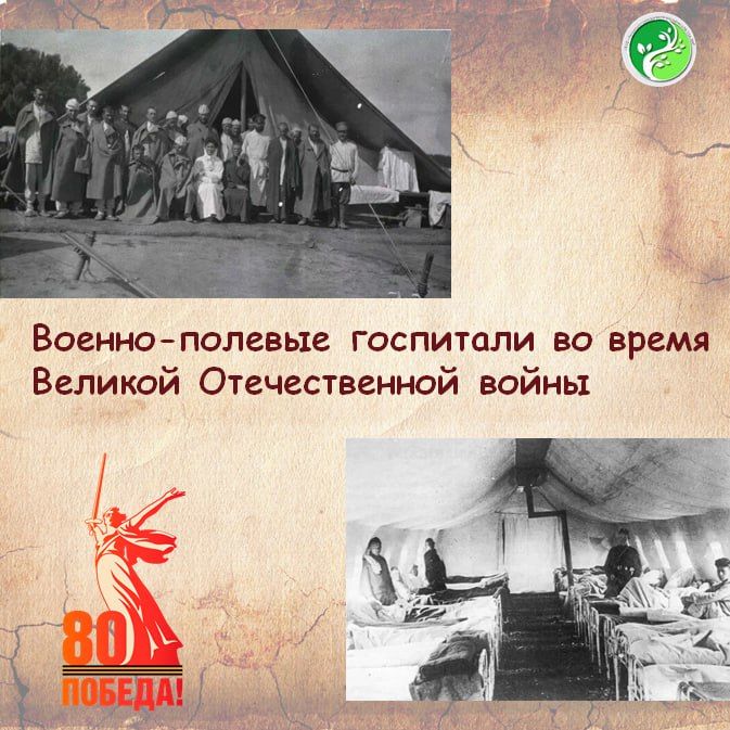 � ���� ������� ������������� ����� ������-������� ��������� ������� ������ ���� � �������� ������ ������ � ��������