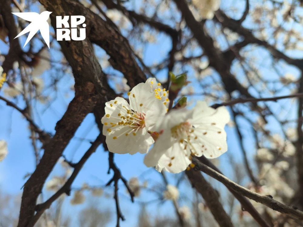 ������. ������������ �� @kp_lnr