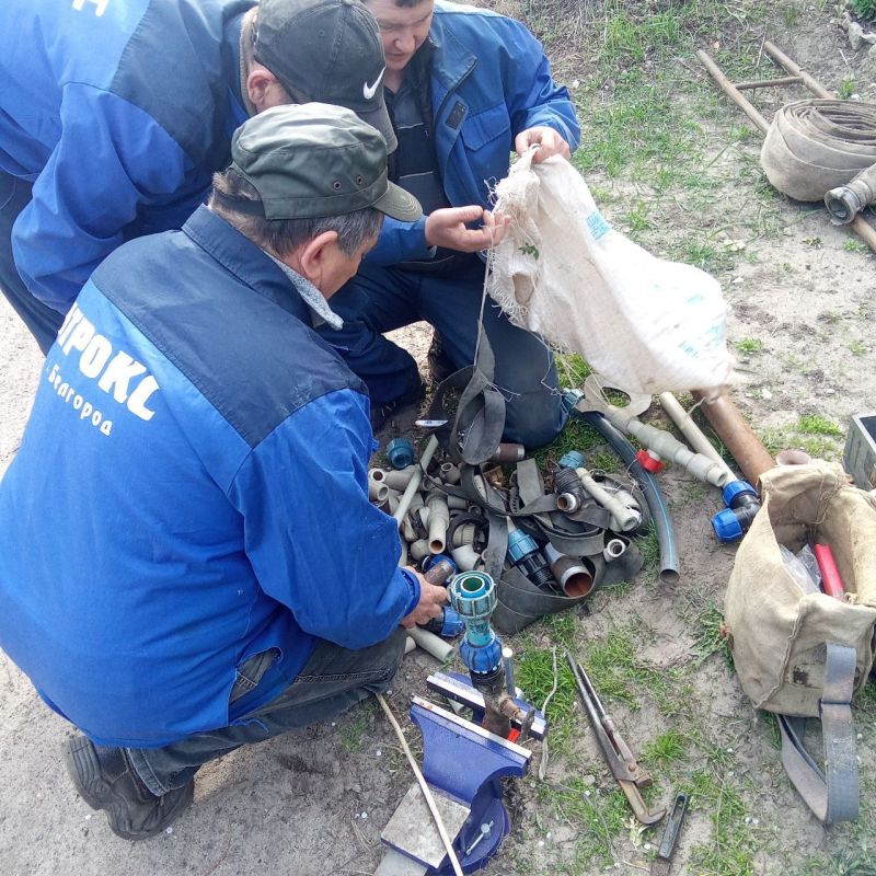 �������� ������: ������ ��������-����������������� ������ � ������