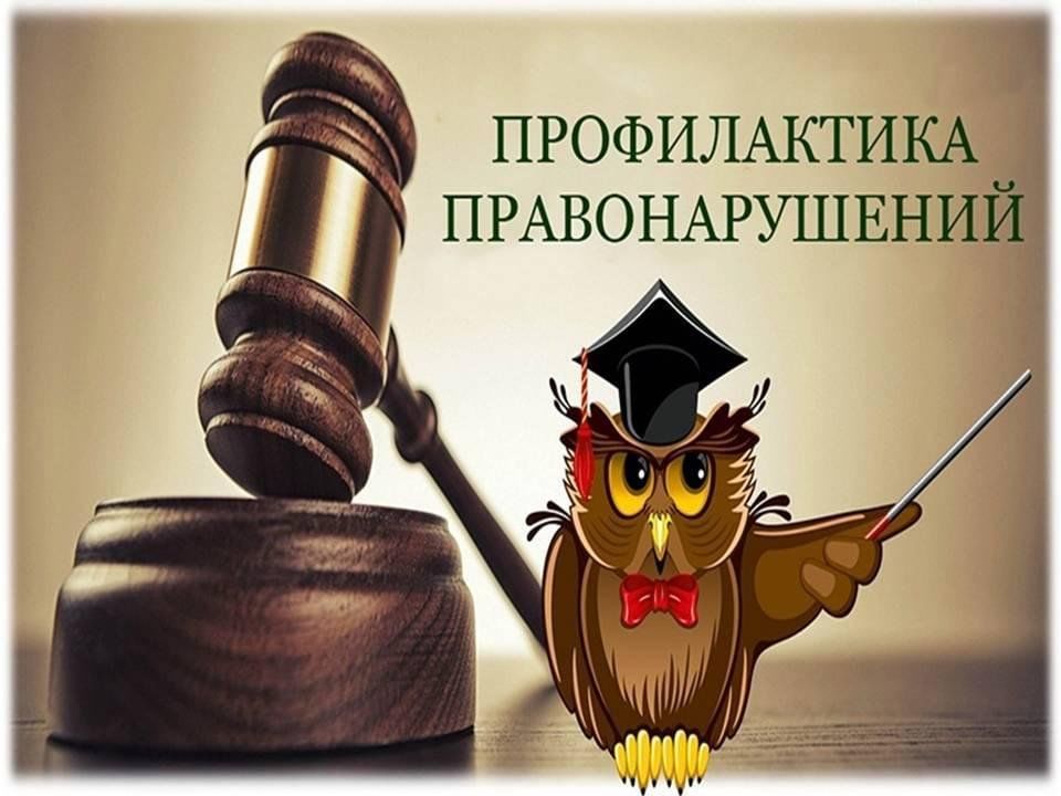 ������� ��� ���������. ������������ ������������ � ��������������