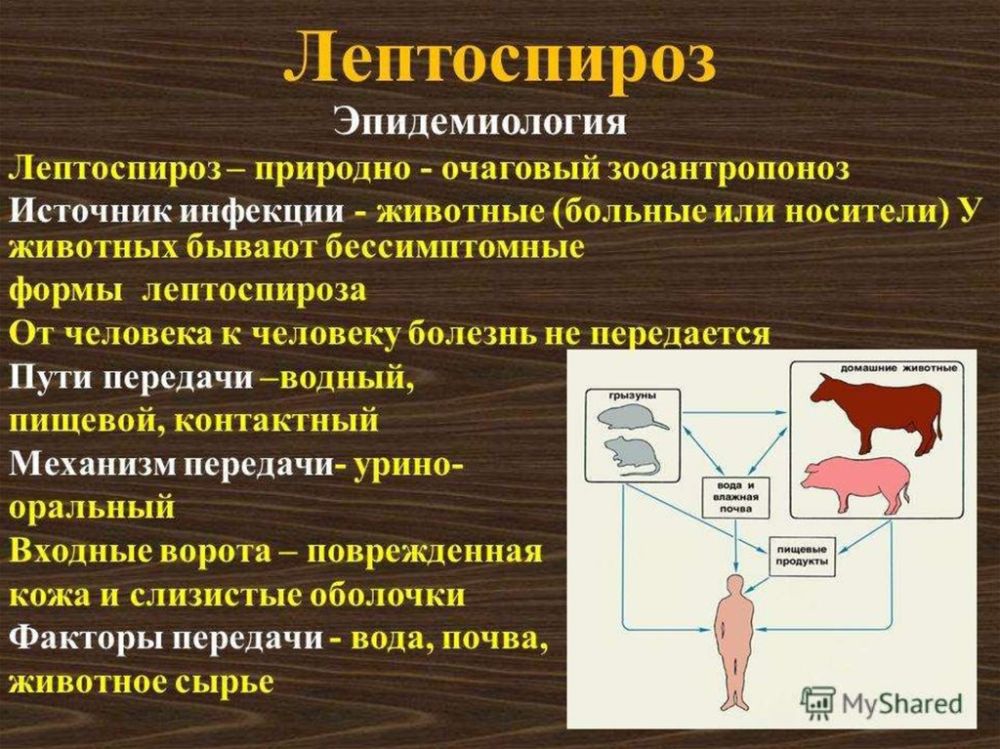 ����������� � ���������������� ������������ ����������� ����������������� ��������, �������, ���������������, ����������, ��������������� ���������������, �������������� ������� �������, � �������� �������� �������� �...