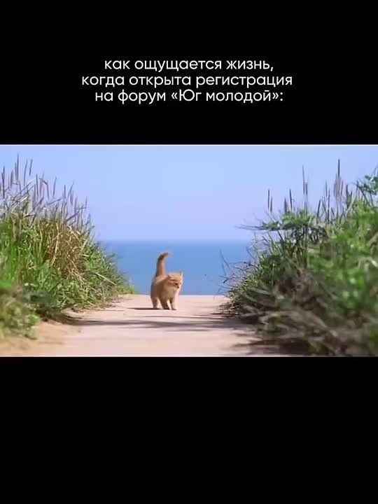 ��� ��������. ������� ����������� �� ������������� ��������� ��������������� ����� ��� �������