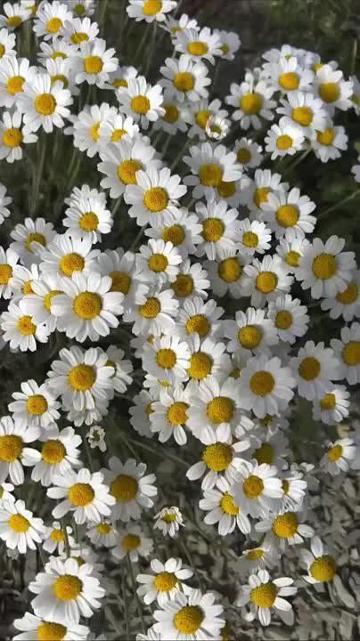 ������� ��� ����, ������!. ����� ���� ���������� ����� ���������, ���������� �� ����������� �� �����