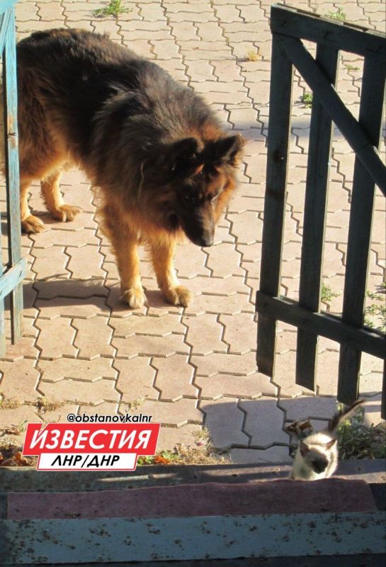 11 ������ �� ���������� ��������� ������� � ������������