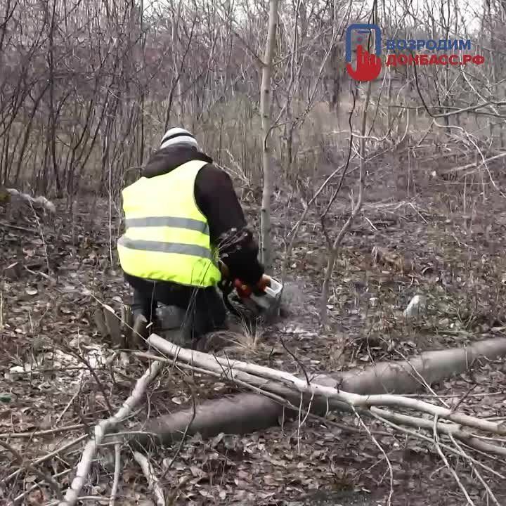 #���. � ����������� ����������� �������� �����
