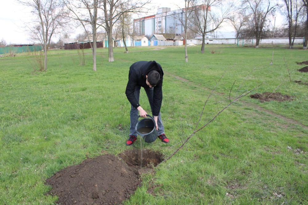 ����� ������ ����� ��������� ������� ������� � ������������� ����� ���� ������ ������ � ��������� ���� ��� "��������������� ����� � 2�