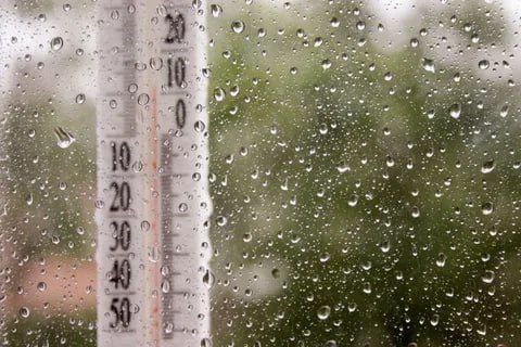 ������� ������ �� 11 ������ | ������� � ���