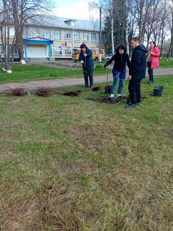 ������� �����: ����� ���������� ������� "���������� ����" ������������� � ������������� ����� ���� ������