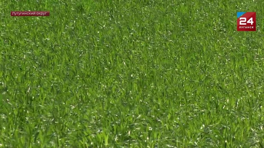 ��������� ������ ������� � ����������� ������ ��������� �� 96%