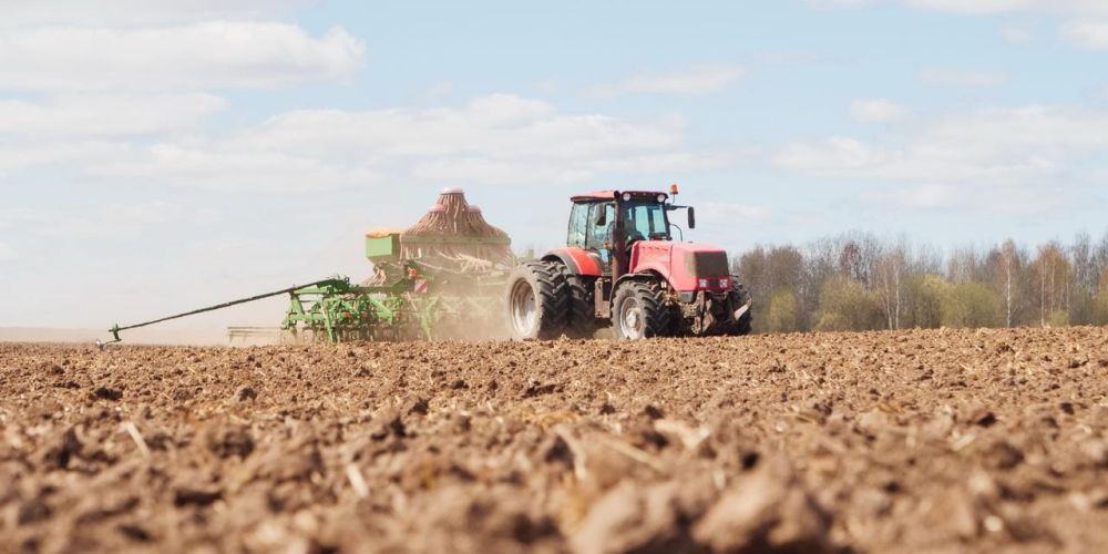 1 5 ���� ������ ������������ ������������� ��� �������� ���������� � �������� � 2025 ����