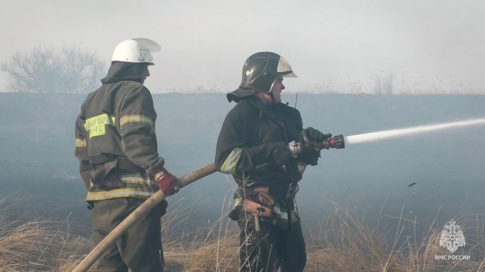 ��� ������ � ������ ����������� ������� ����������� ��������� ��� ������ �� ���������� ���