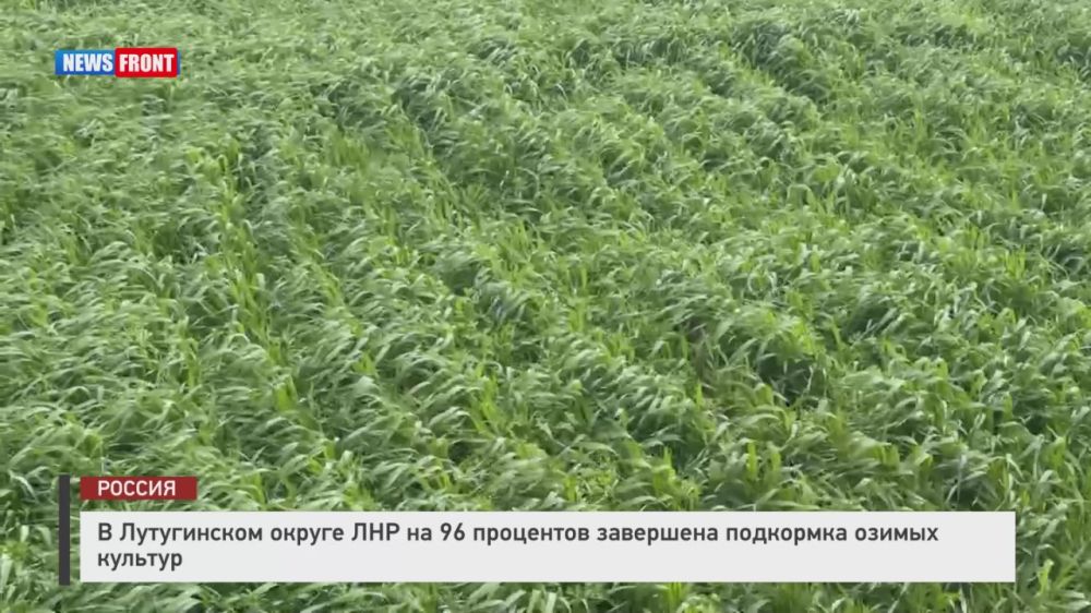 � ����������� ������ ��� �� 96 ��������� ��������� ��������� ������ �������