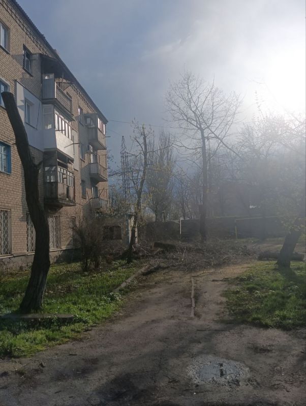 Сергей Козенко: В Краснодонском муниципальном округе в рамках заключенного муниципального контракта начаты работы по удалению и обрезке зелёных насаждений