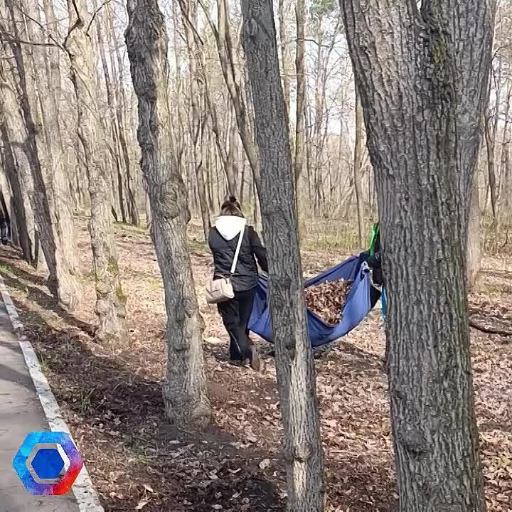 ���������� ������������� ����� �������� �������������� ������ � ��������� �� ������������ ��� ������� ������� � ����� "������ ���������� - 2025"