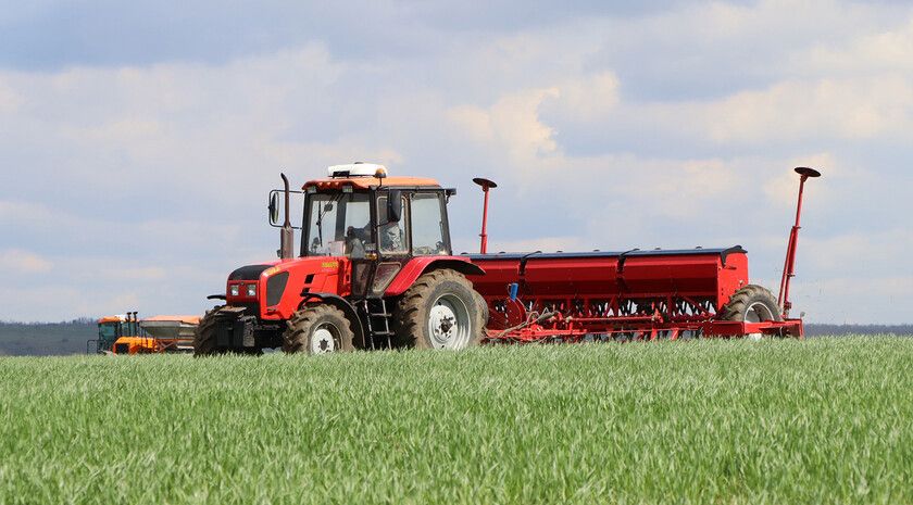 ����� �������: ��� �������� ��� ��� �� 11 ������