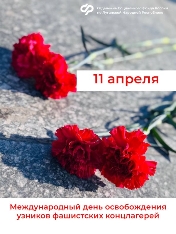 11 ������ � ������������� ���� ������������ ������� ���������� �����������
