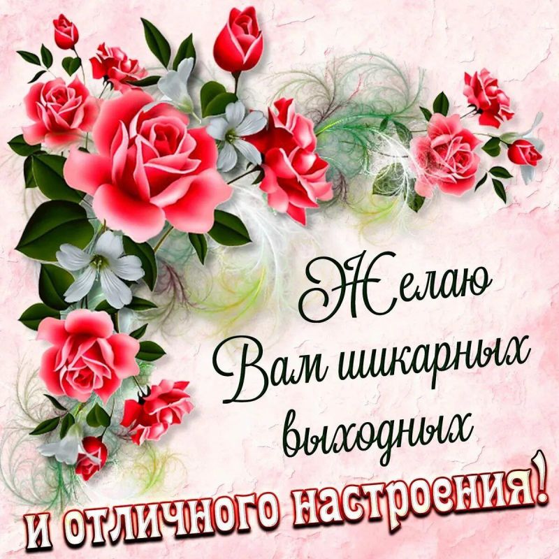� ������ �������� ! ��������� � ����������� ���!