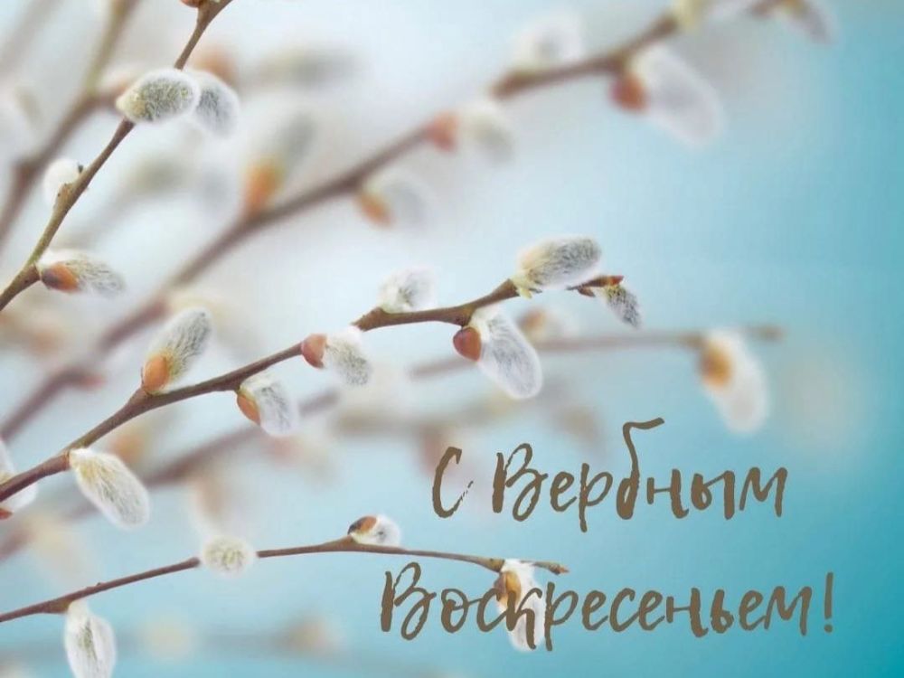 ���� �������-�������: ��������� ������������!. ���������� ���� ������������ �������� � ���������� ������� ���������� � ������� ������������! �� ��������, � ���� ���� �������� ��� ��������� �����, ����������� ������ �����...