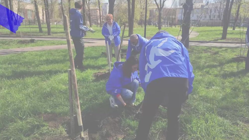 ������ � �������� �������: ��������� �������� 80 ������ � ������ � ���������� ���������