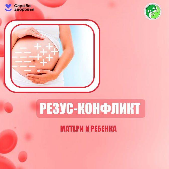 �����-������ � ��� ������������� �����, ������� ��������� �� ����������� ����������� (������� �������� ������)