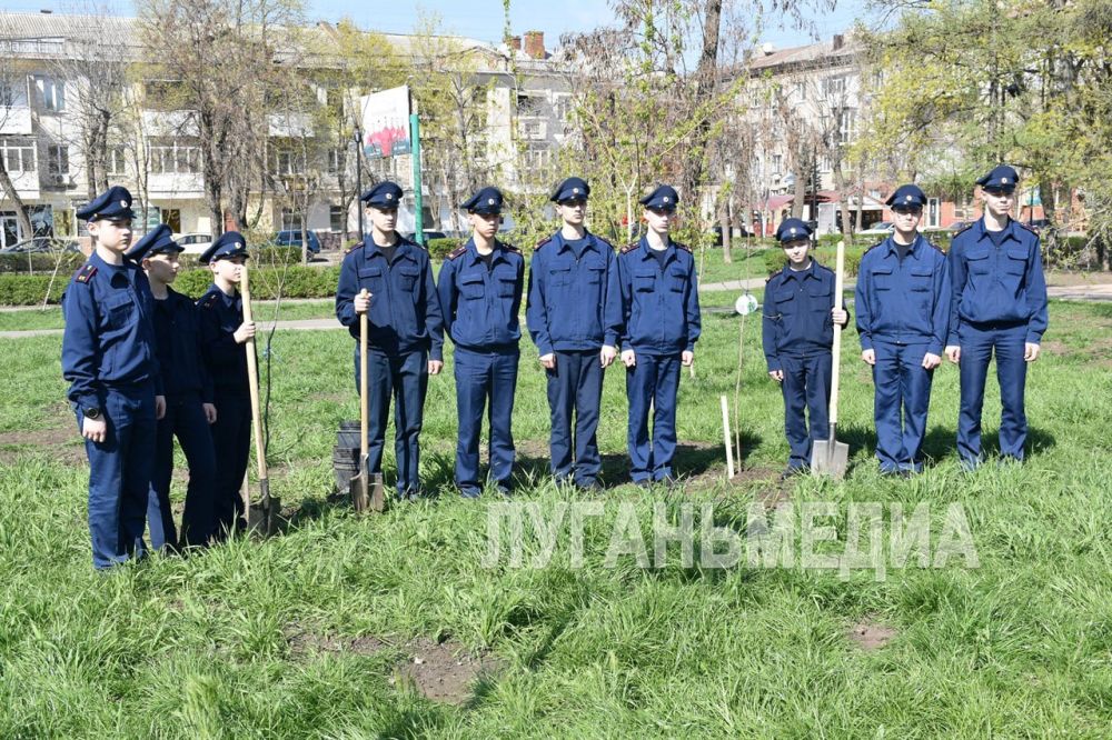 � ������ ����� ���� ������ � �������� �������� 80 ��������