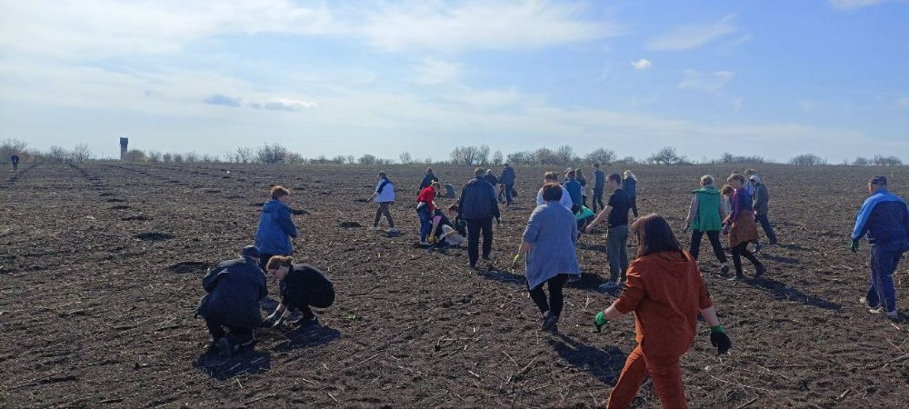 �������� ������������� ����� ���������� ���������� �������� ���������� ������������� ����� ���� ������, ����������� 80-����� ������� ������ � ������� ������������� �����