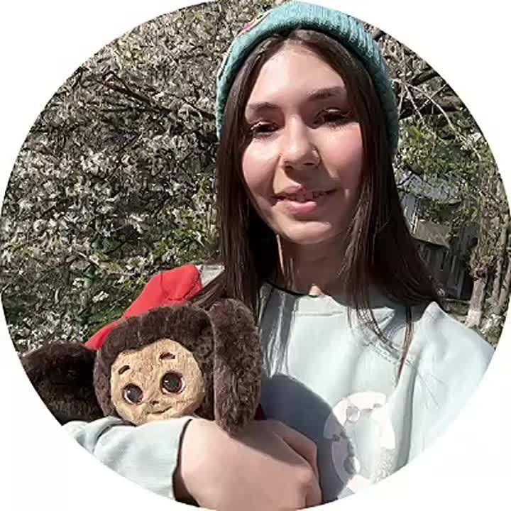 ������ ����������� � ���� �� �������� ���������� ��������� ������� � 2024 �� ��������� �������� ����������