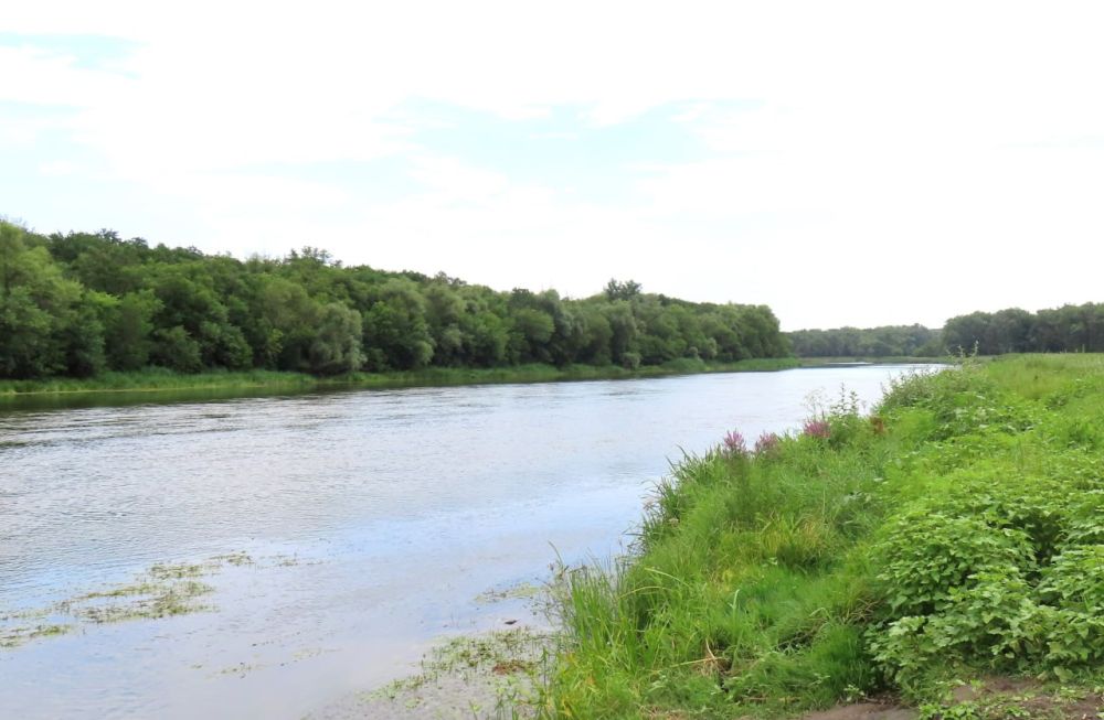 � ��������� �������� ���������� � 2025 ���� ����������� ����������� �� ��������� ���