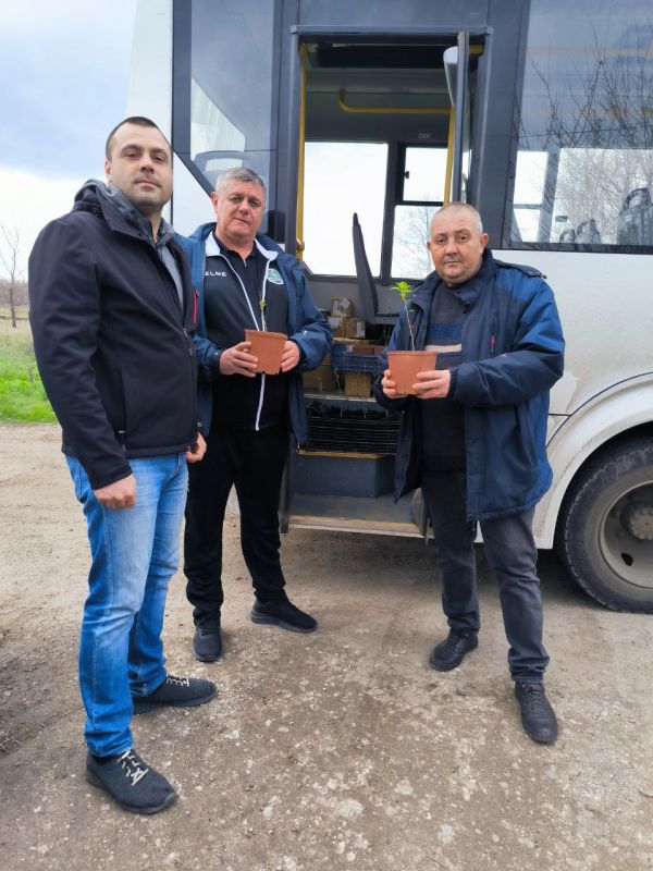 «Сад памяти»: В Кременском муниципальном округе