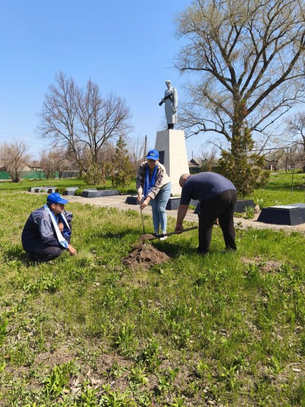 Единороссы высадили 80 деревьев рябины в честь 80-летия Великой Победы!