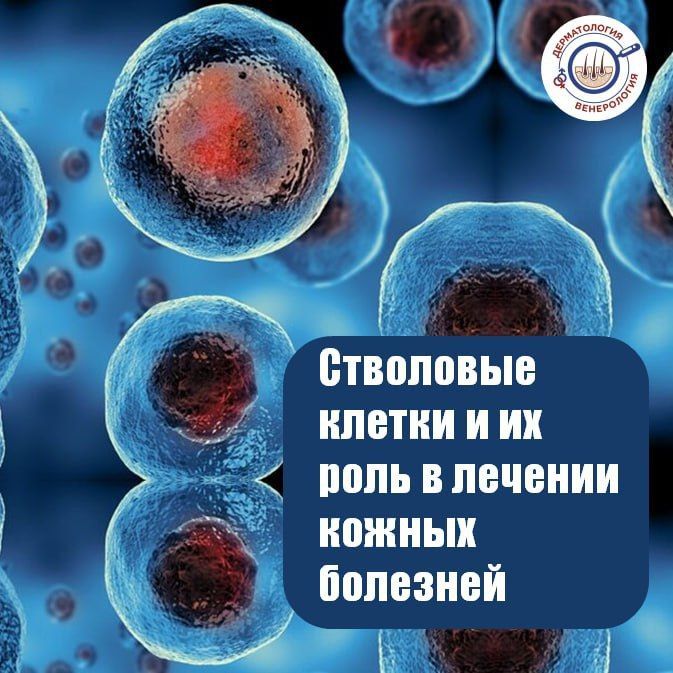 ��������� ������ � ��� ���������� ������, ������� ����� ������������ � ��������� ���� ������ ���������