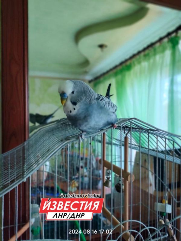 20 ������ �� ���������� ���������� ��������� ���������� ����������