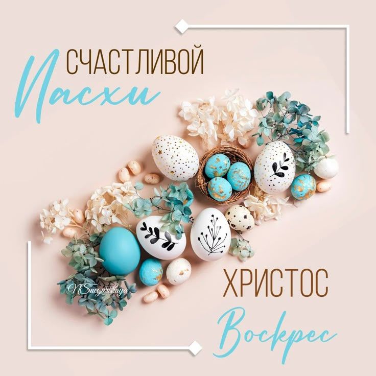 ������� ��������: ��������� ������ ��������-���������� ������!